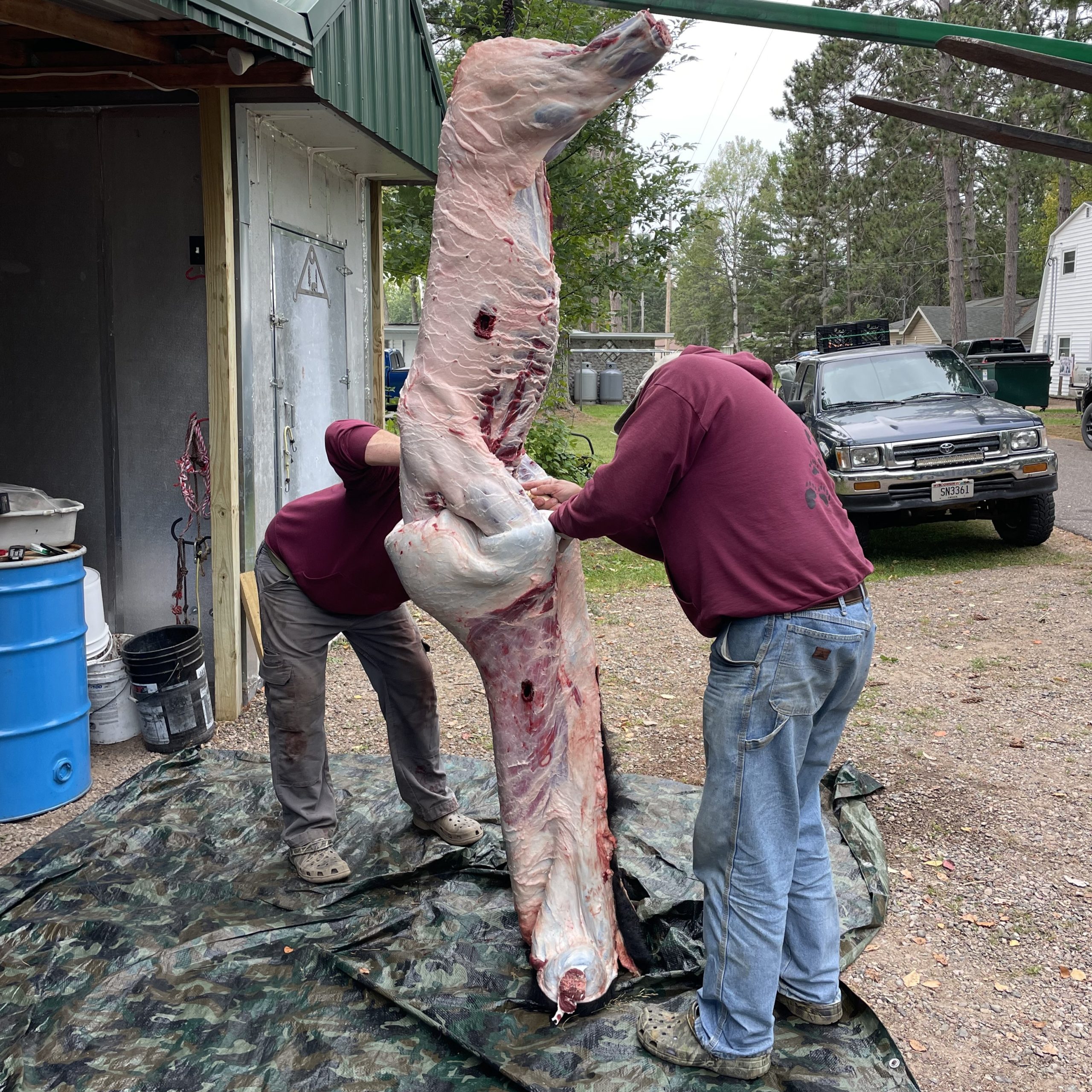 hunting outfitters with harvested black bear in WI