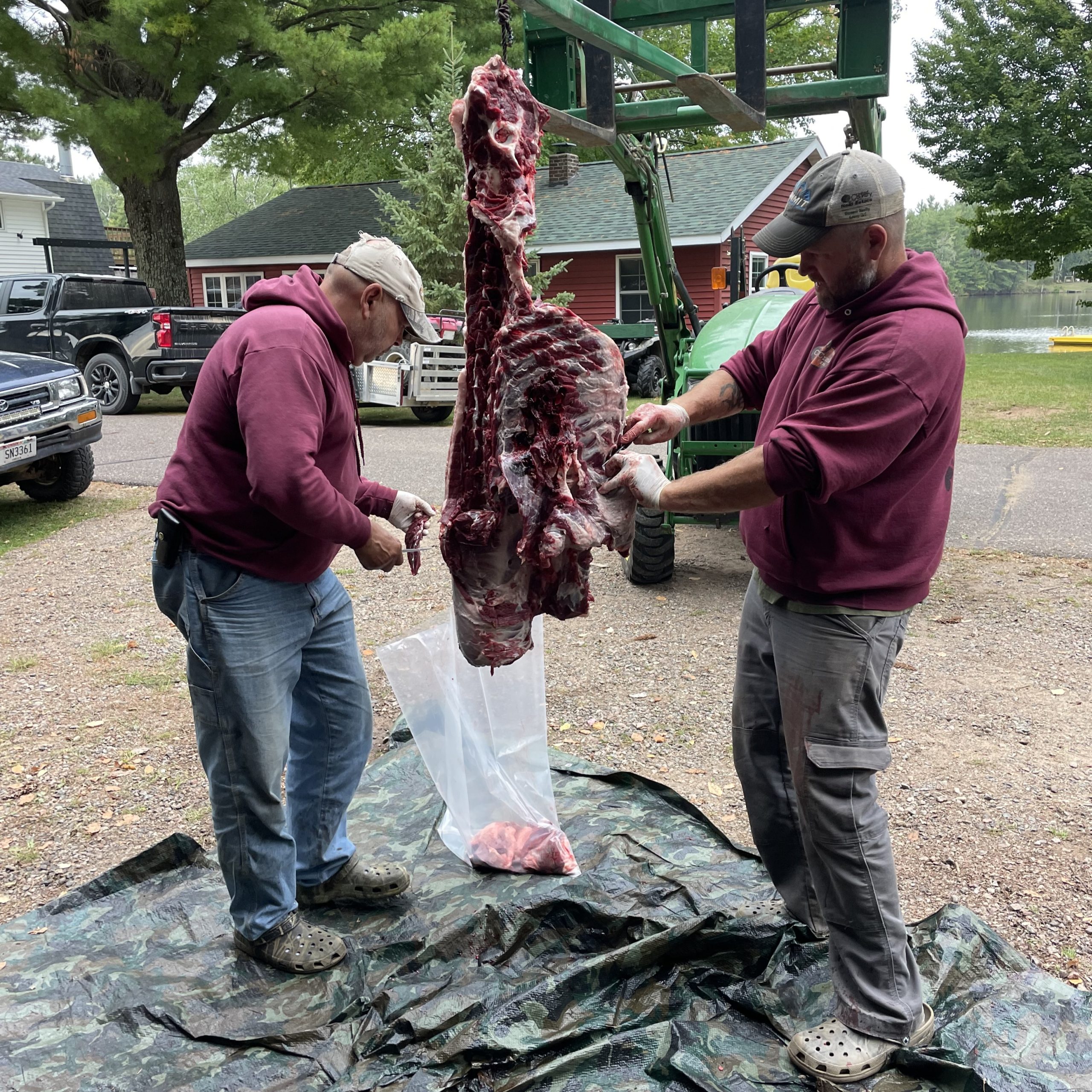 hunting guides with black bear