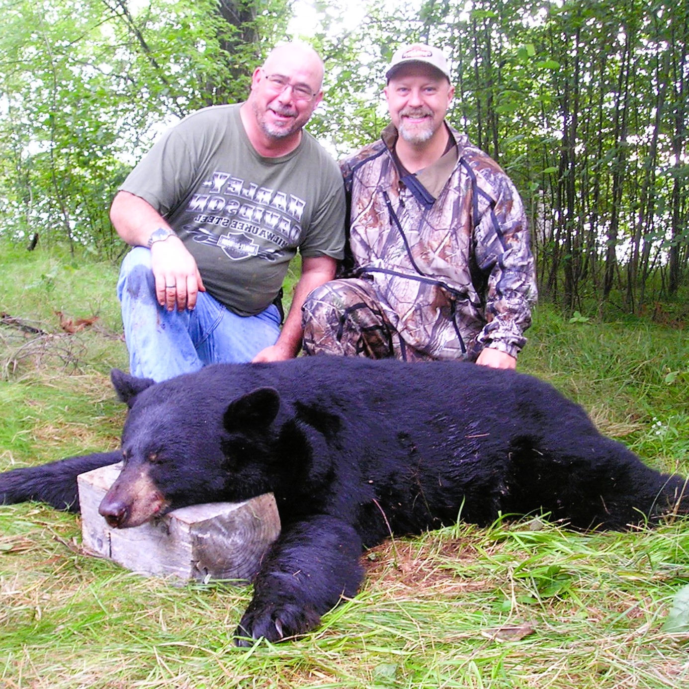 a black bear with two Wisconsin bear hunters